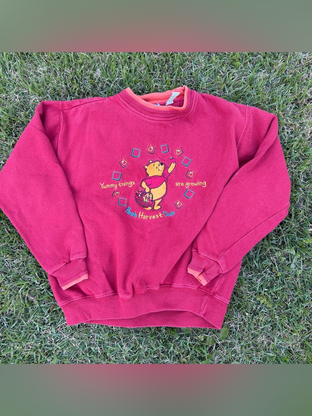 Vintage 90s Winnie the Pooh crewneck sweatshirt embroidered apple harvest